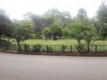/album/addis-ababa/a20140506-112309-jpg/